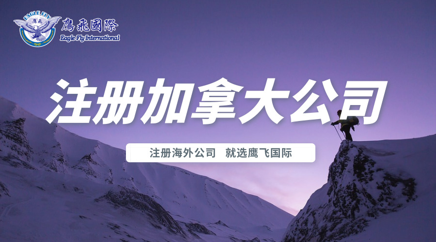 在加拿大做生意哪種形式好？自雇還是有限公司