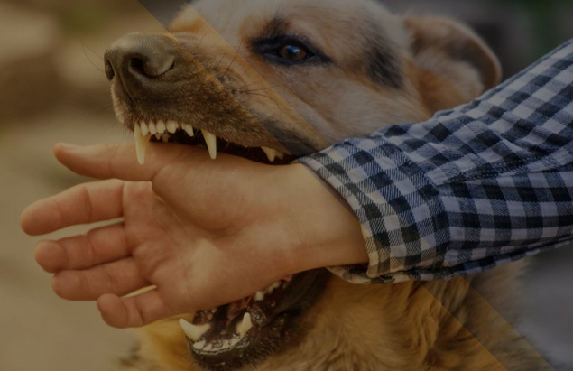 為什么美國房屋都要買保險(xiǎn)？這些用處，你不可不知！4